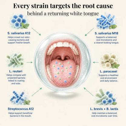 Halori™ Oral Probiotic fix tonsil stones at the source